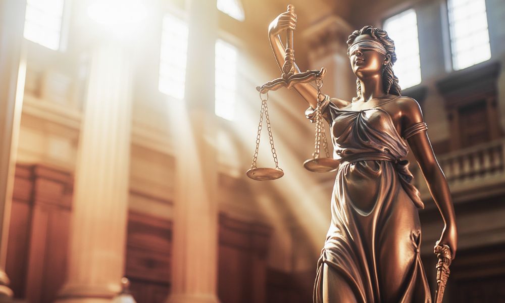 Women advocate specialising in consumer and labour law